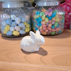 Mini Dolomite Bunnies