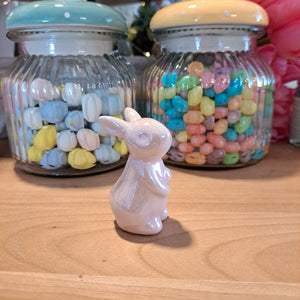 Mini Dolomite Bunnies