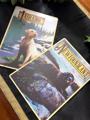 Newfoundland and Labrador - A Cultural Alphabet