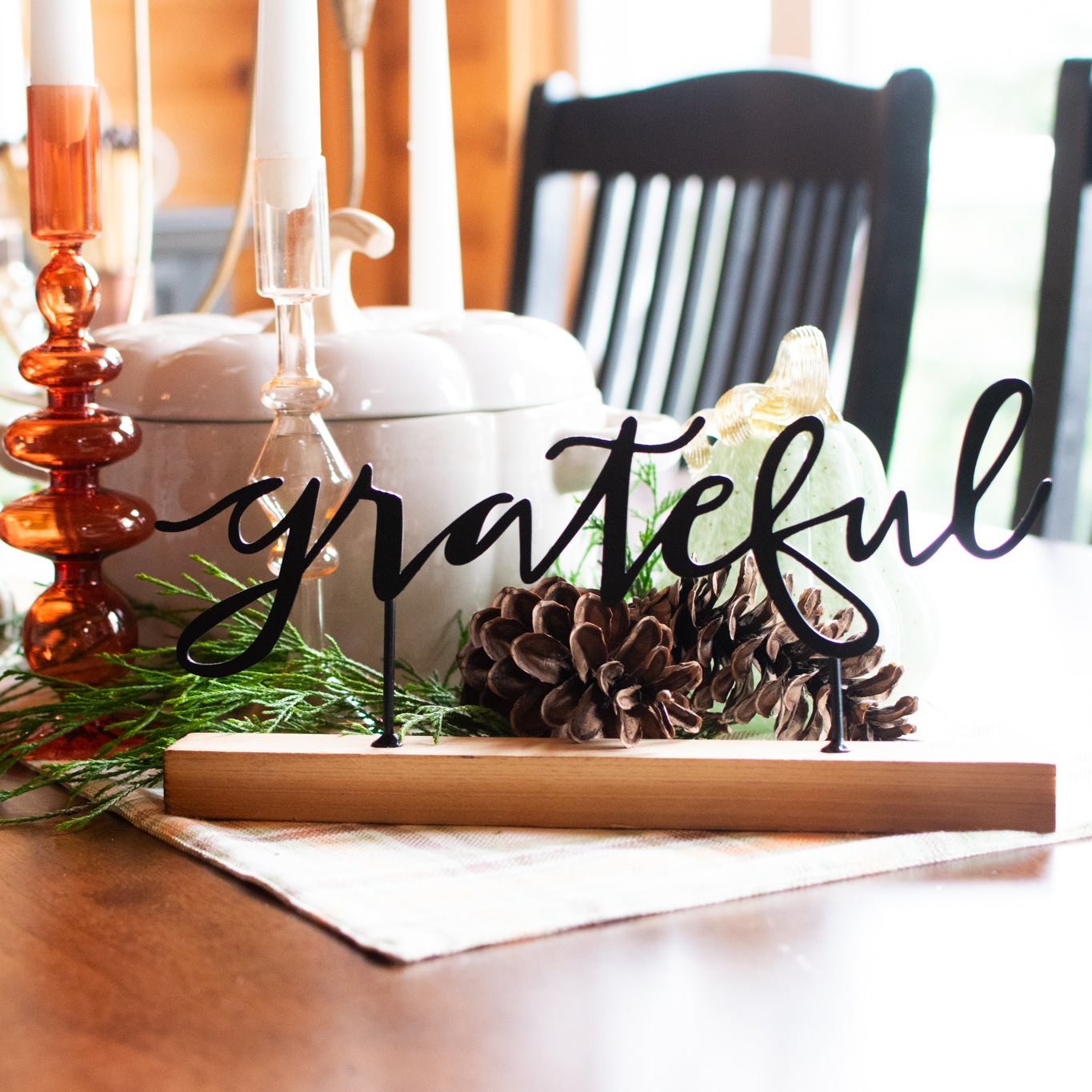 Grateful Shelf Sitter