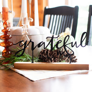 Grateful Shelf Sitter