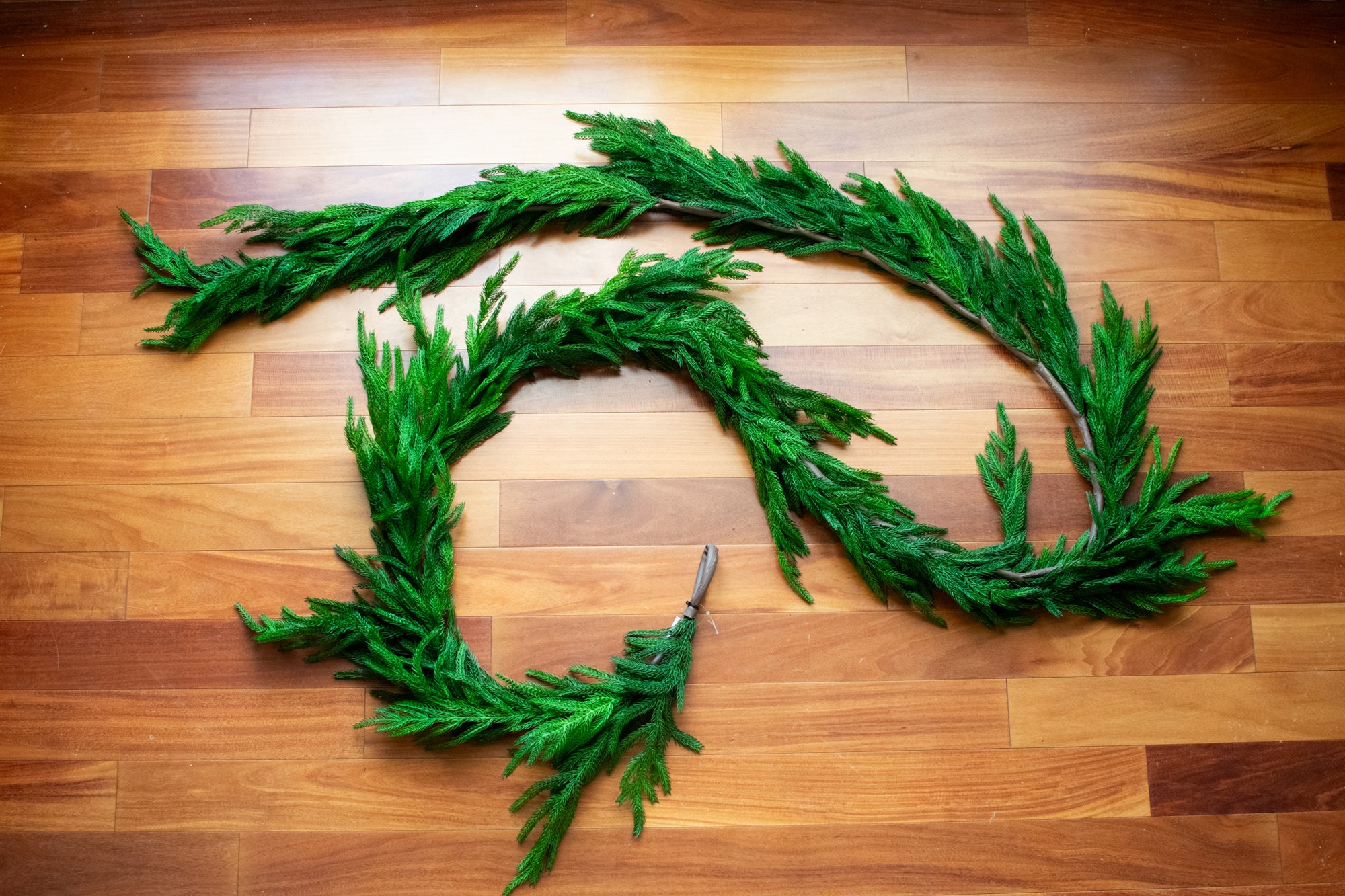 10' Fresh Touch Norfolk Pine Garland