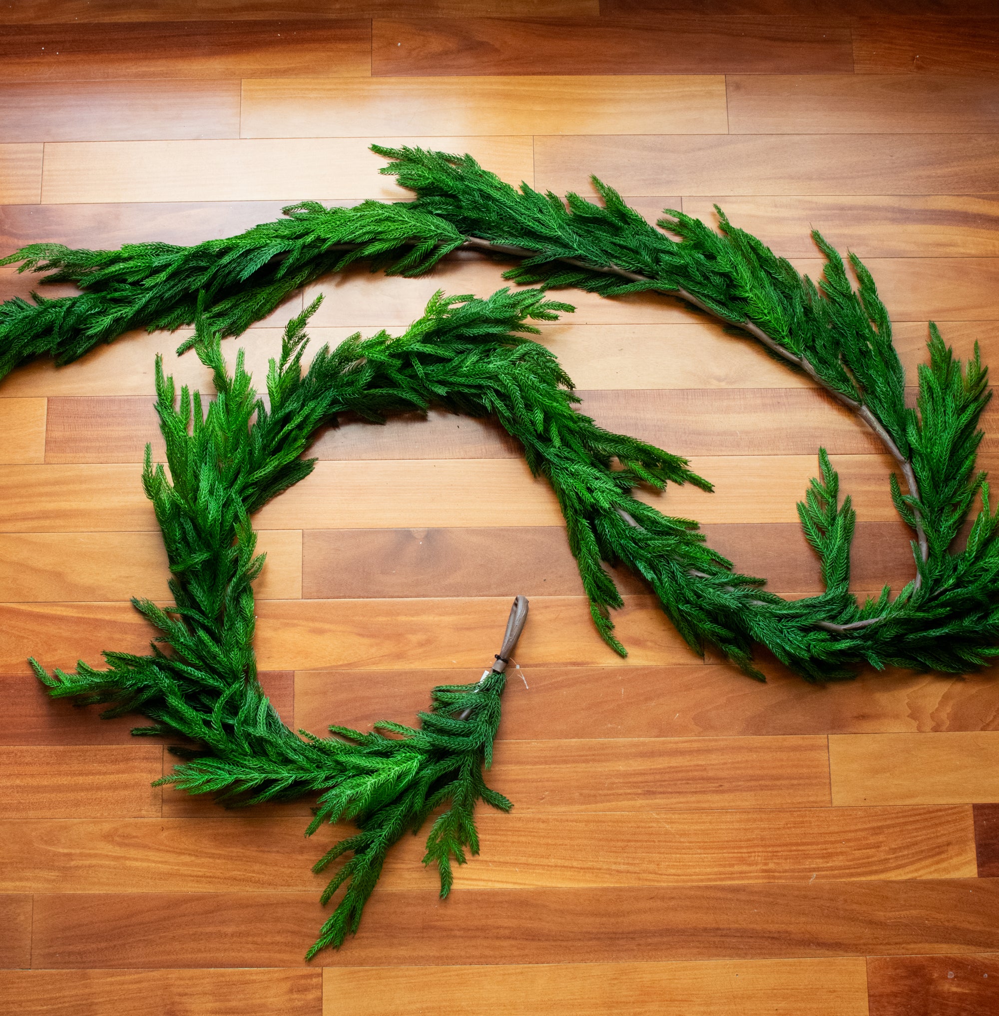 10' Fresh Touch Norfolk Pine Garland