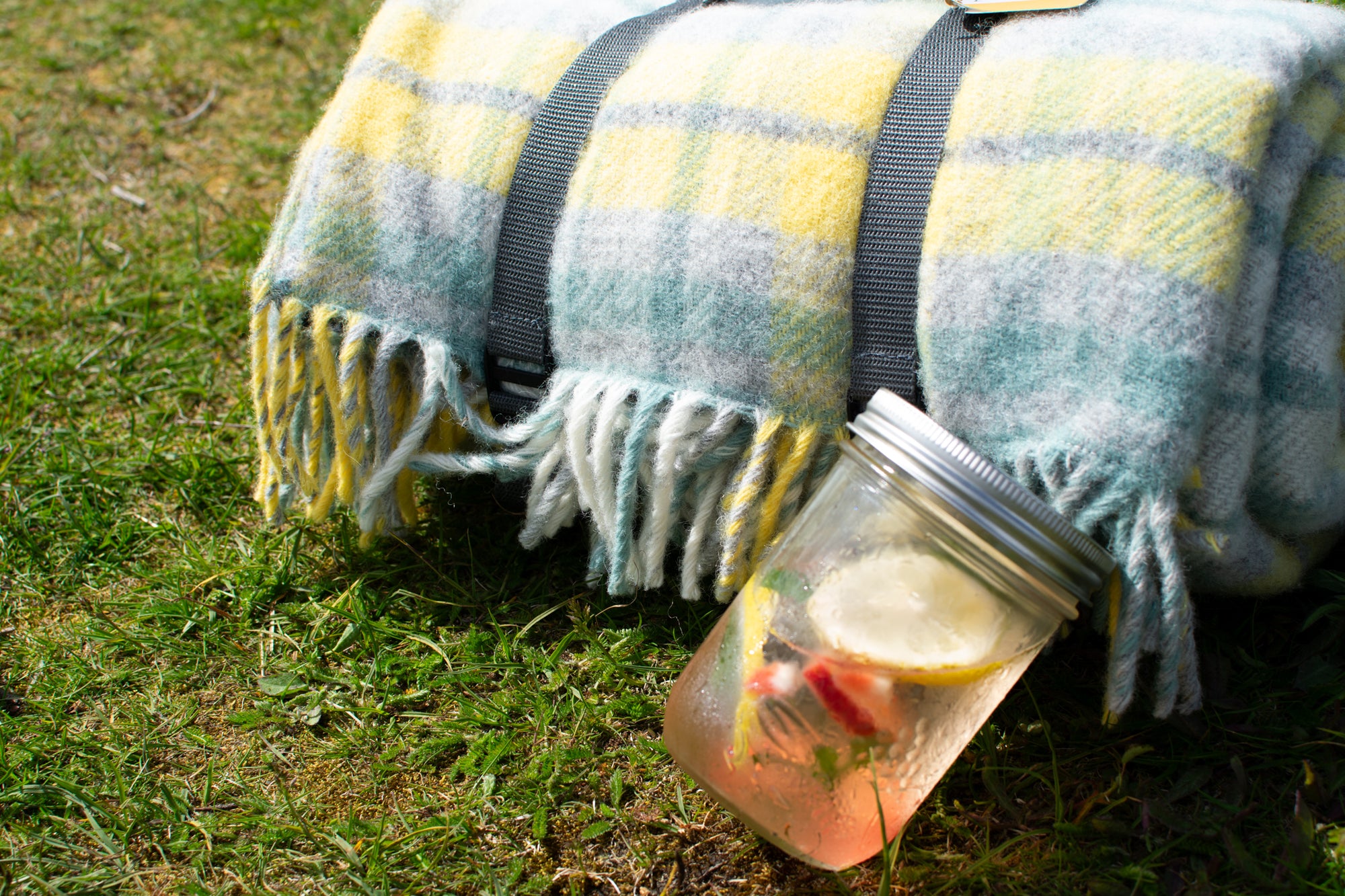 Cottage Ocean Polo Picnic Rug