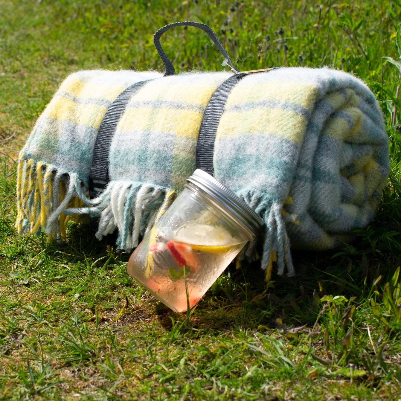 Cottage Ocean Polo Picnic Rug