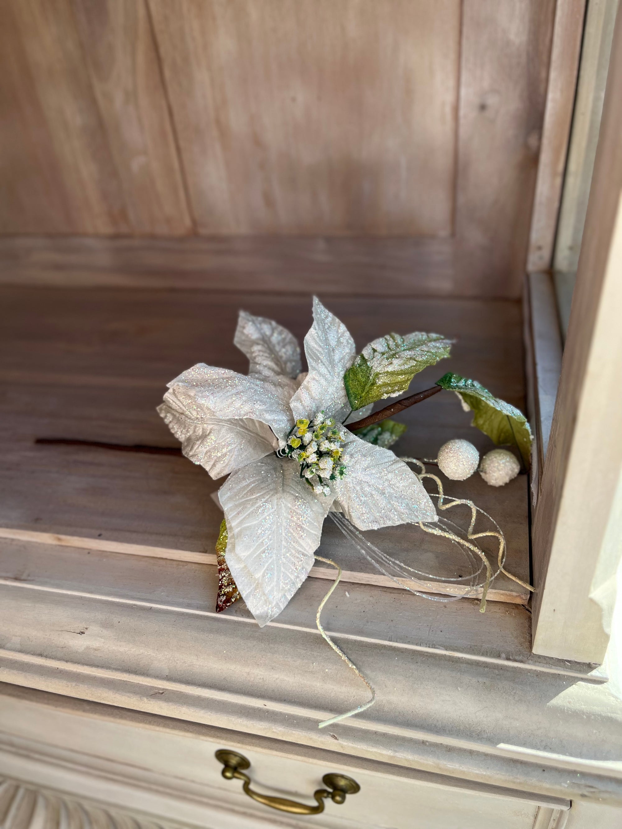 Winter Frost Poinsettia