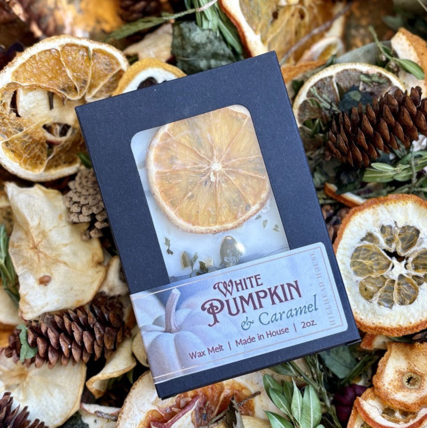 Toasted Caramel & White Pumpkin - Artisan Wax Melt