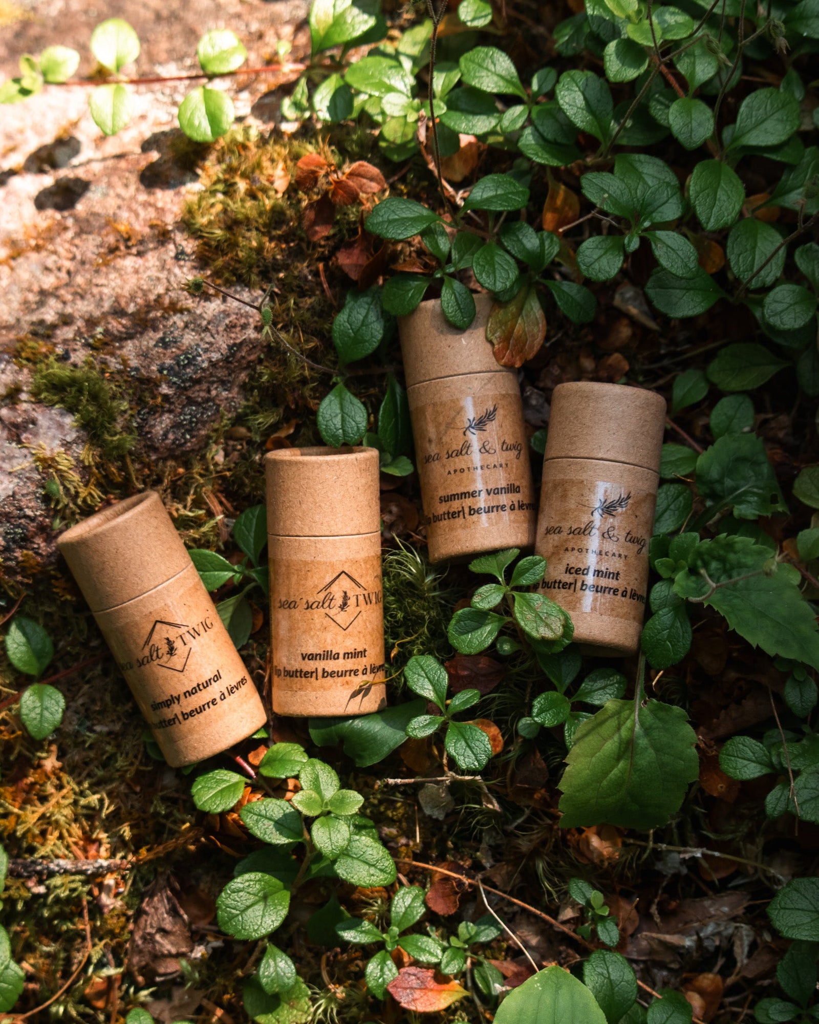 Sea Salt & Twig Lip Butter - Frankincense & Vanilla