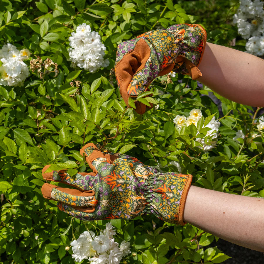 Orange Grove Gardening Gloves - Snakeshead