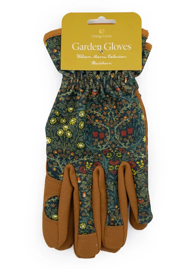 Orange Grove Gardening Gloves - Blackthorn