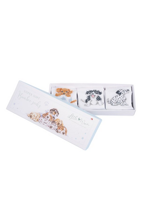 Little Paws Baby Socks Gift Set - Little Wren Collection by Wrendale