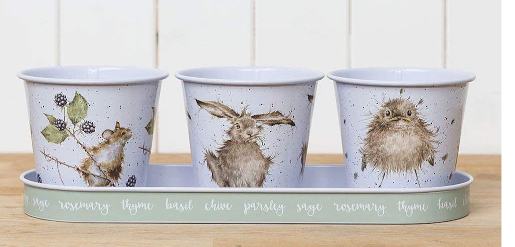 Set of 3 Herb Pots & Tray - Wrendale Mouse