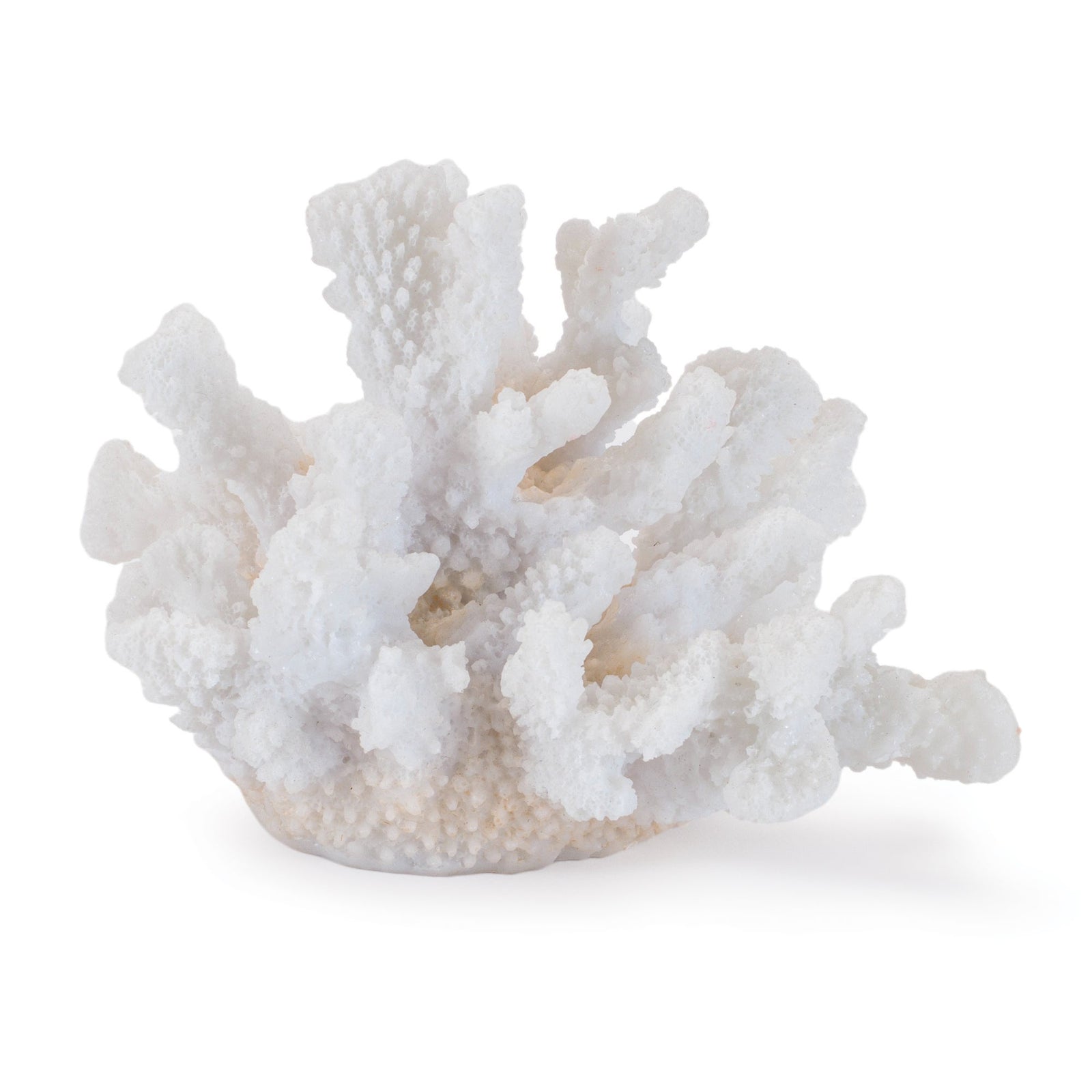 White Resin Coral