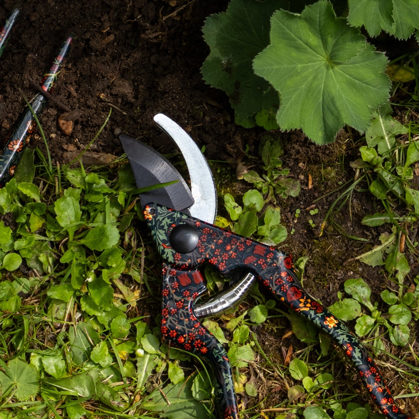 Orange Grove Pruning Shears - Blackthorn