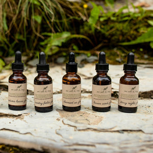 Sea Salt & Twig Hair & Body Oil - Starry Nights