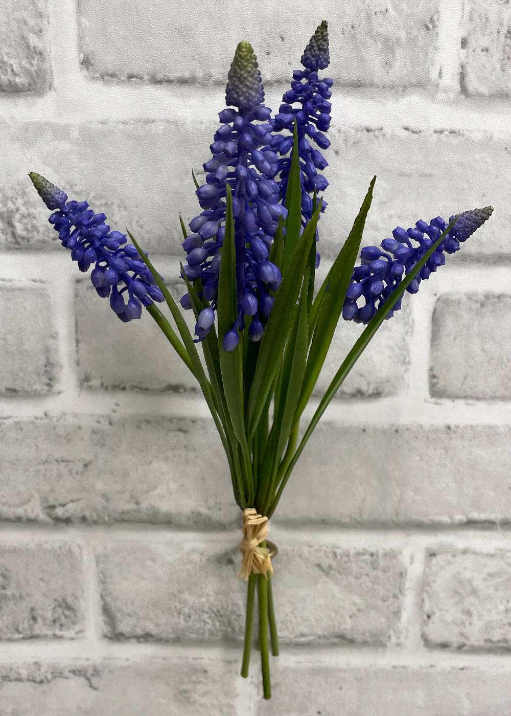 10.5" Purple Hyacinth Bundle