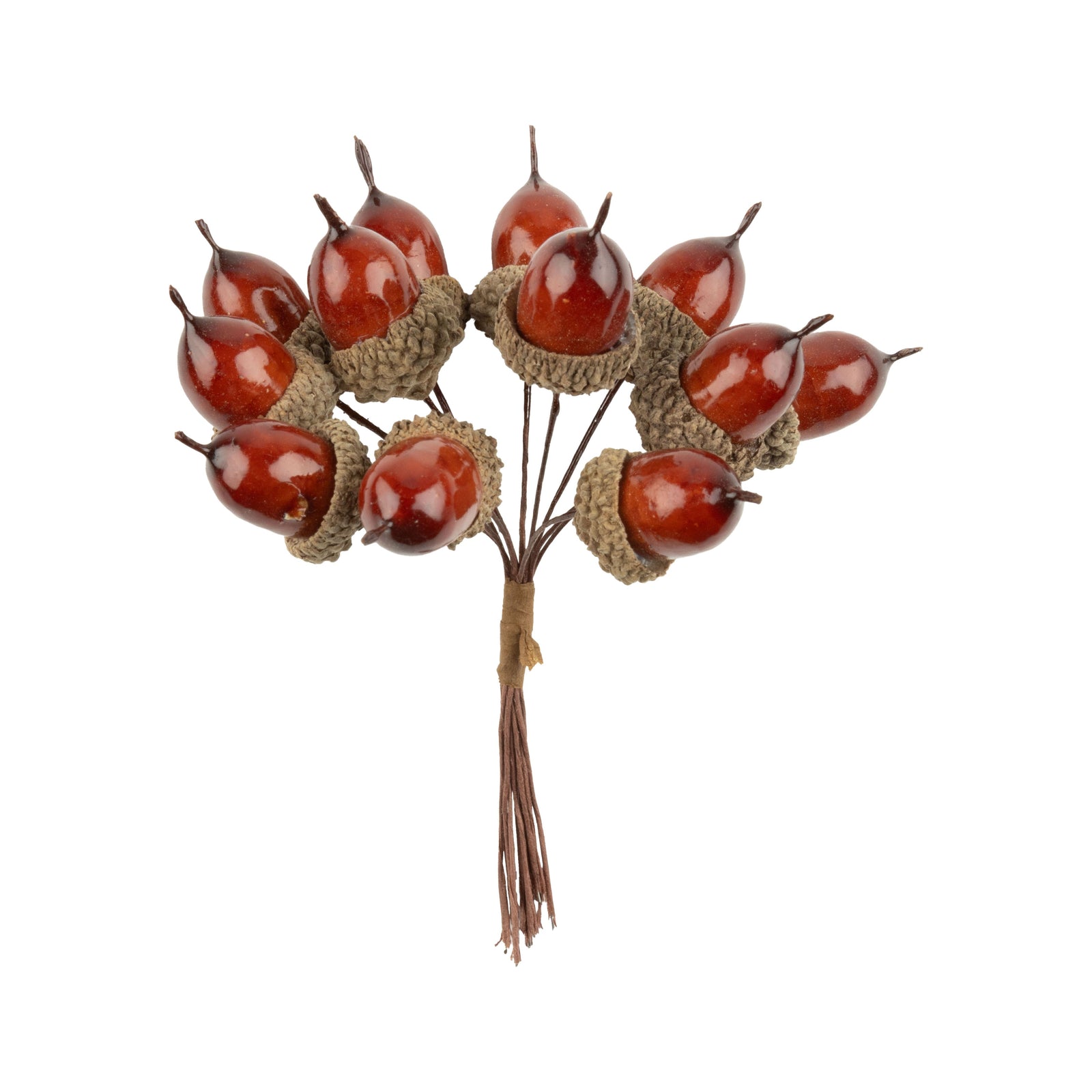 Mini Acorn Cluster