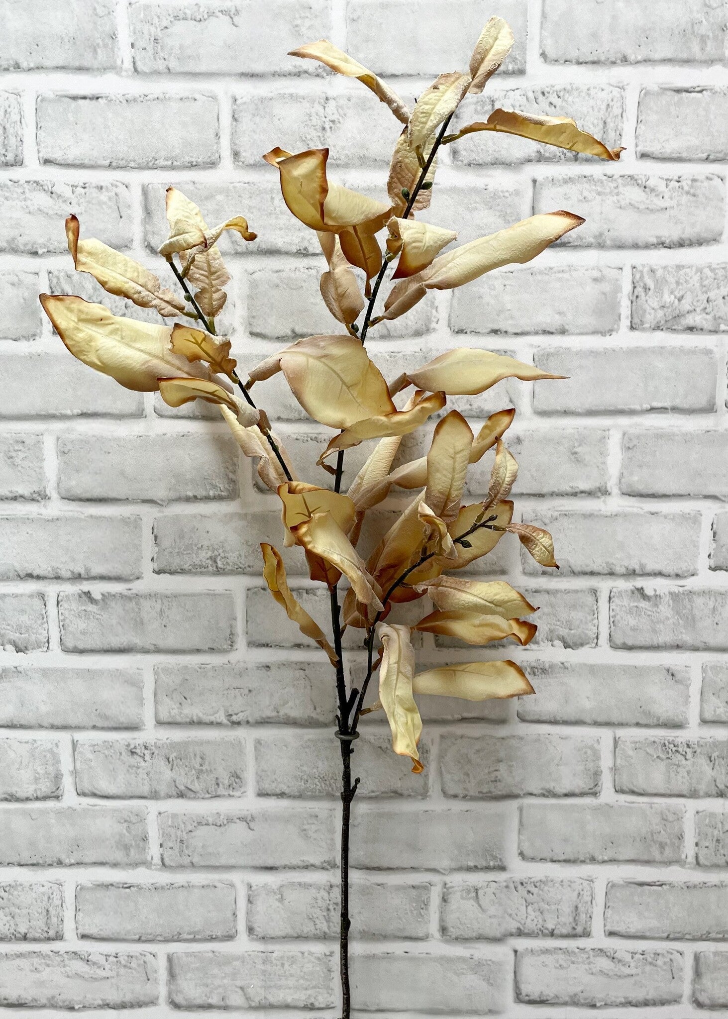 38" Cream Dried Leaf Spray