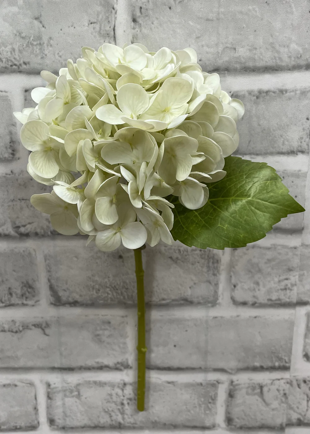 12" Fresh Touch Hydrangea - Cream