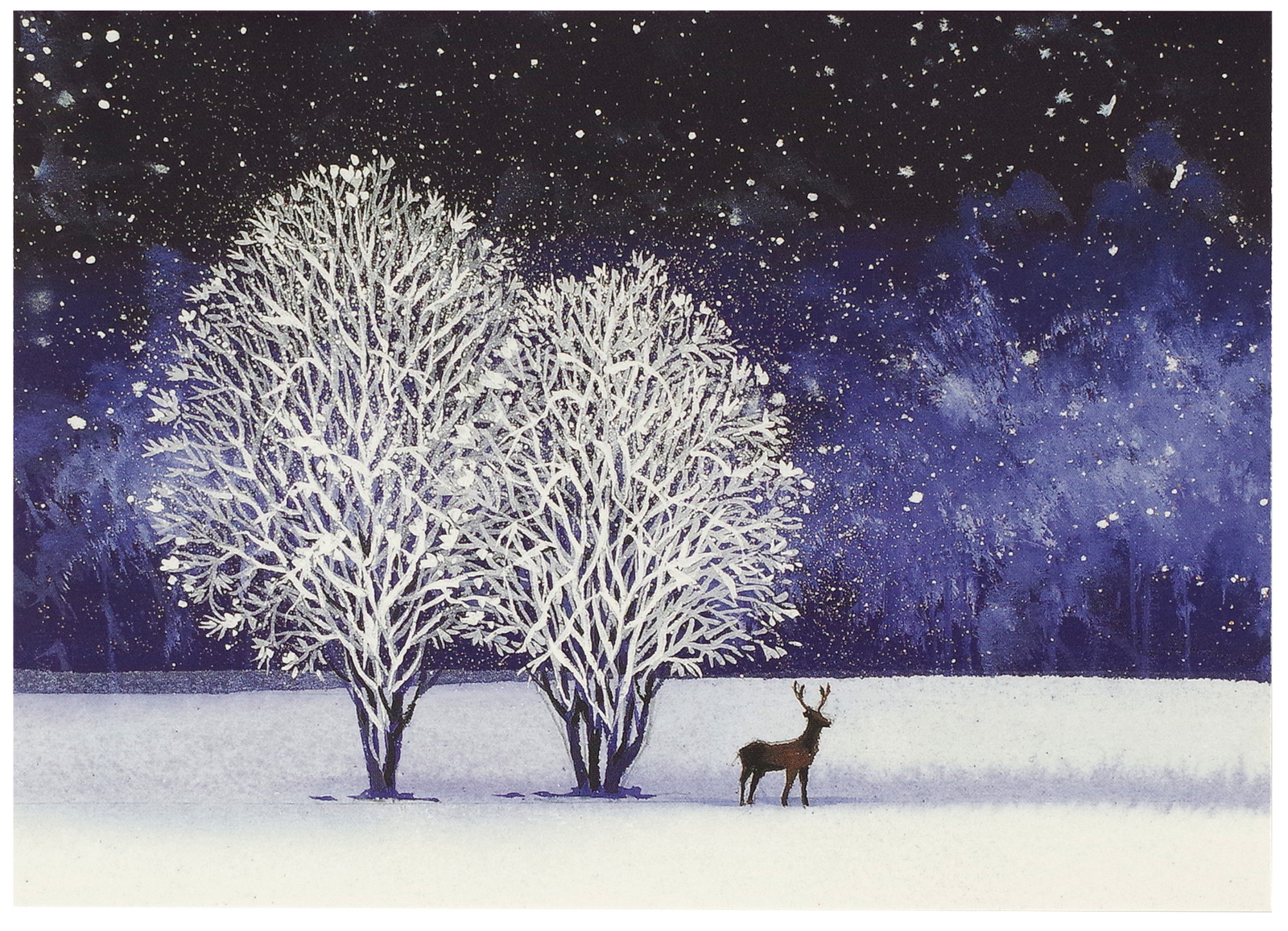 Starry Night Deluxe Boxed Holiday Cards