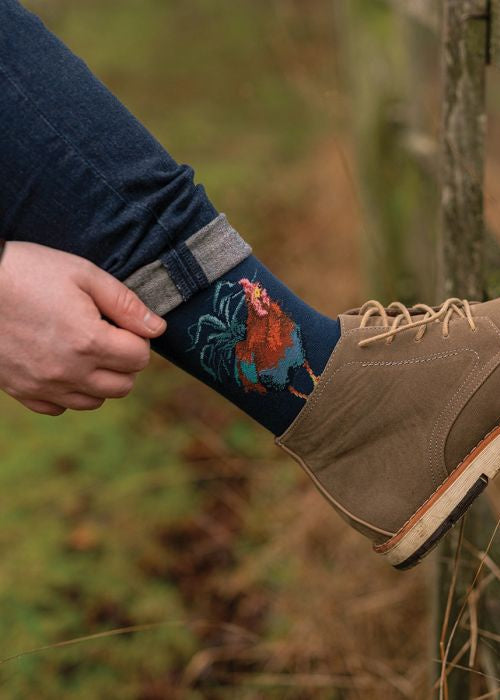 Colours of the Rainbow - Wrendale Men's Socks
