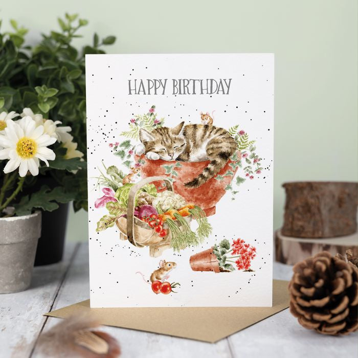 Purrrfect Birthday - Wrendale Occasion Card