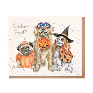Trick or Treat - Wrendale Halloween Occasion Card