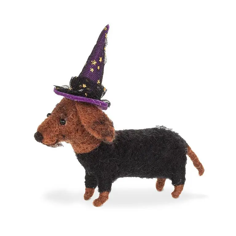 Dachshund with Witches Hat