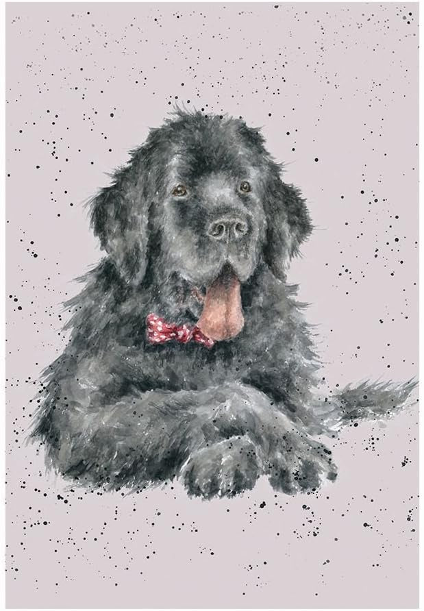 Dudley the Newfoundland - Wrendale Occasion Card