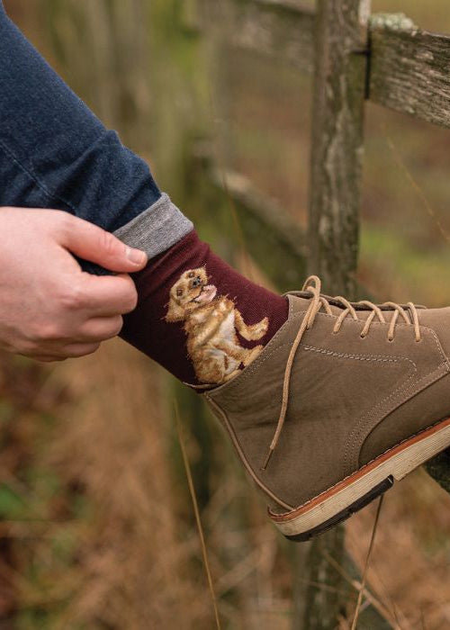 Good as Gold - Wrendale Men's Socks