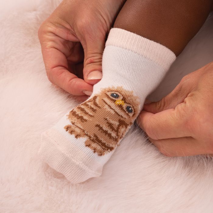 Little Forest Baby Socks Gift Set - Little Wren Collection by Wrendale