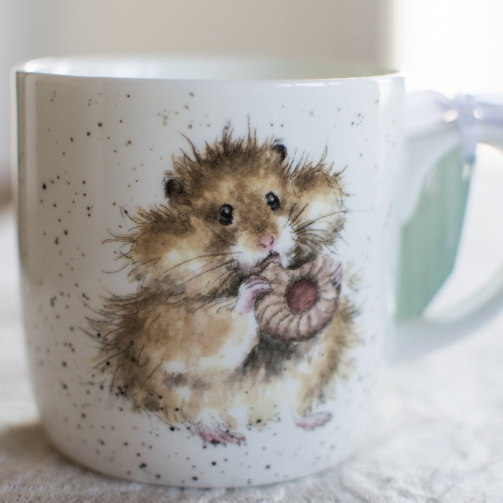 The Diet Starts Tomorrow - 11oz Bone China Mug - Wrendale