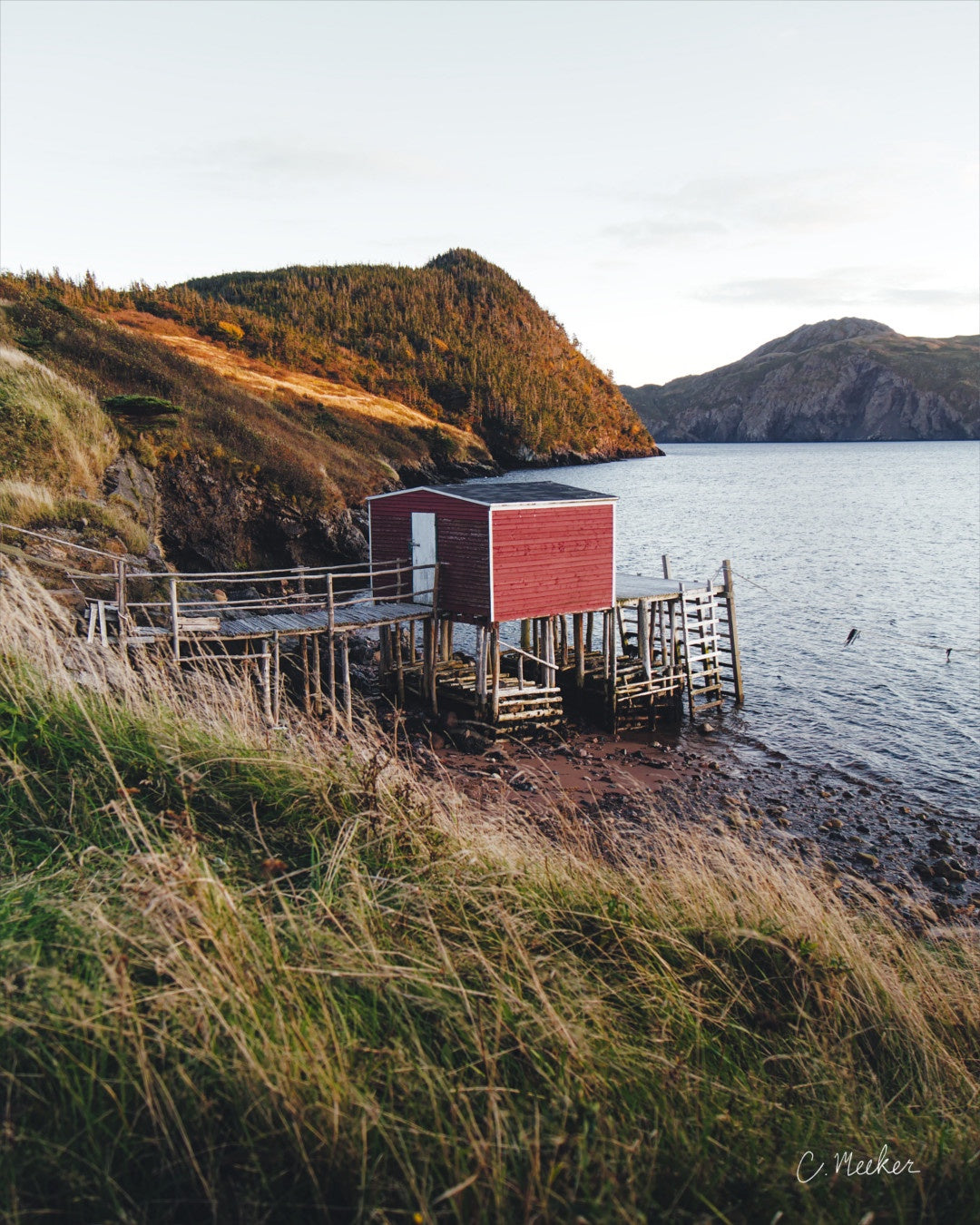 'Fall Into the Sea' - 8x10" Print