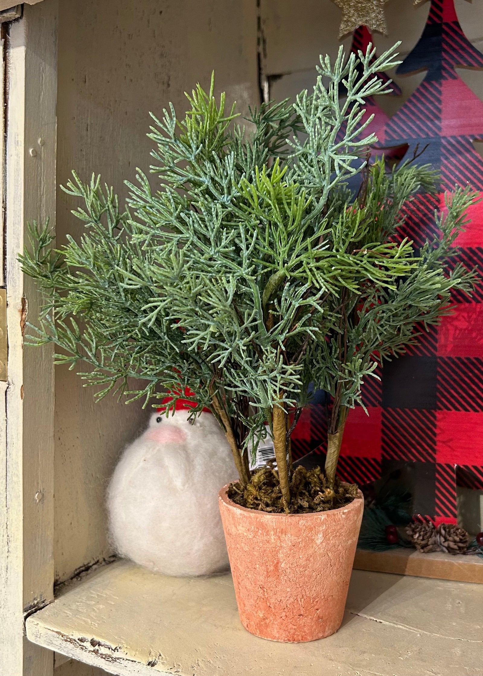 Cedar Pot