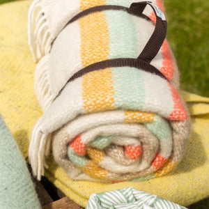 Illusion Stripe Polo Picnic Rug