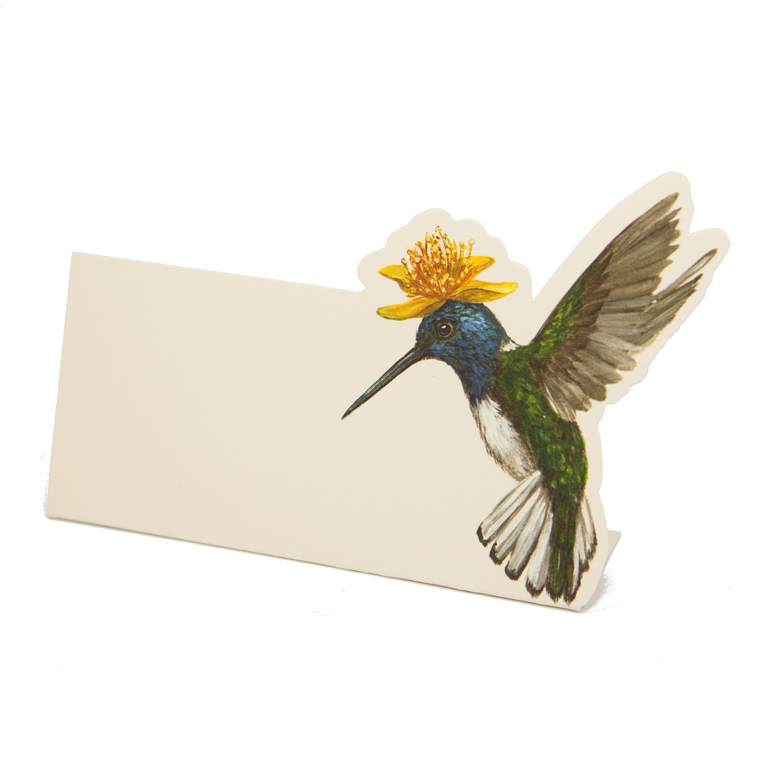 Hummingbird Place Cards