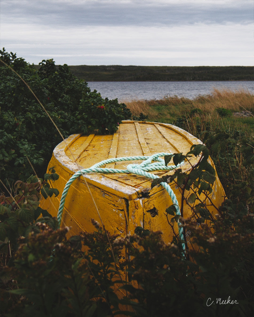 'Ochre Go-Ashore' - 8x10" Print