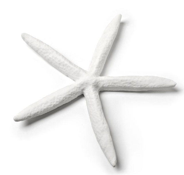 White Starfish - Table Top Decor