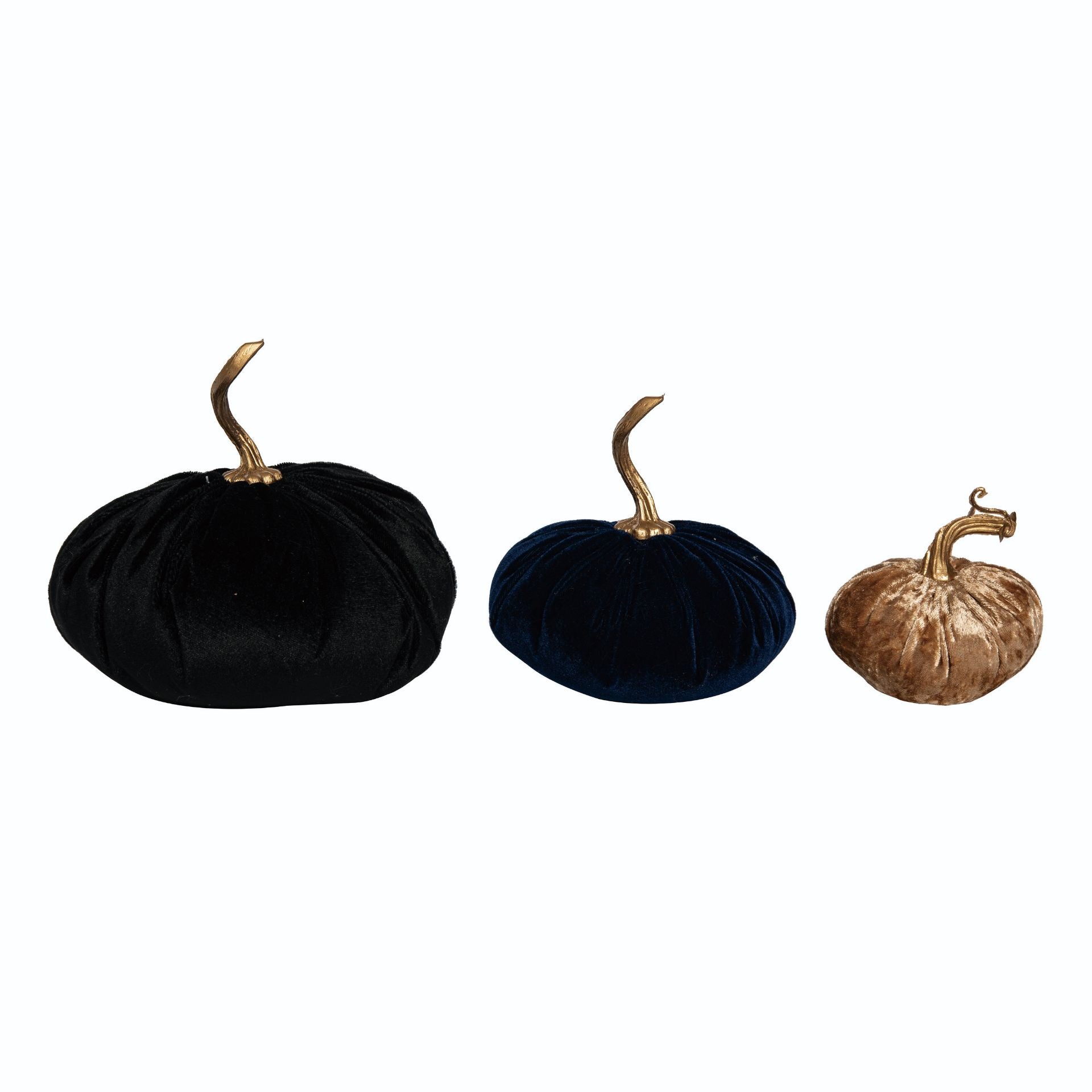 Midnight Velvet Pumpkin