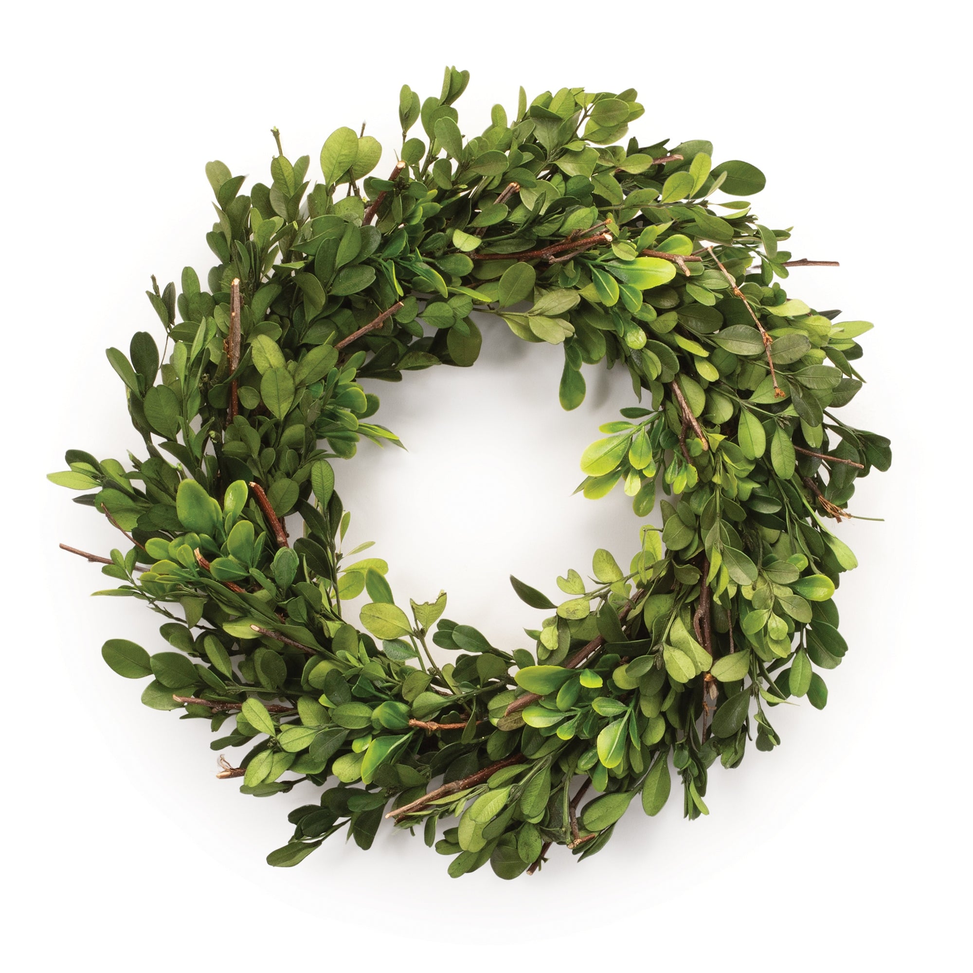 Natural Boxwood Wreath